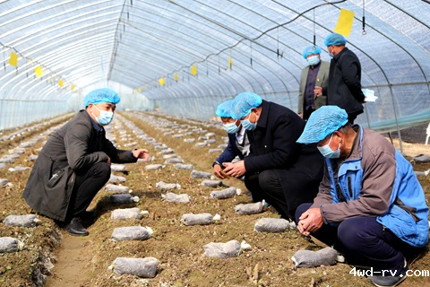 2023022313492686692832.png 2023022313492686692832.png