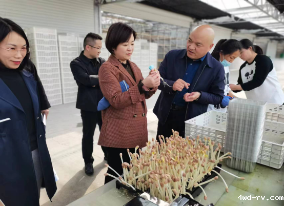 2023032915081527497543.png 2023032915081527497543.png