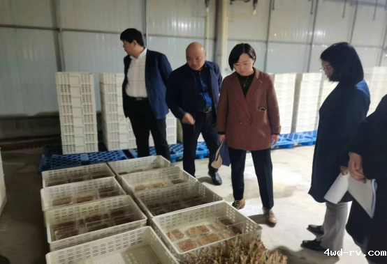 2023032915081589898439.png 2023032915081589898439.png