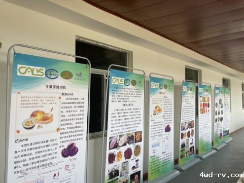 2023030615561979734580.png 2023030615561979734580.png