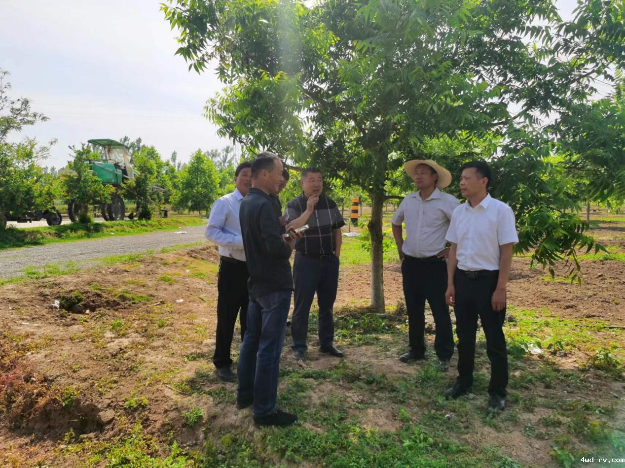 图片7.png 图片7.png