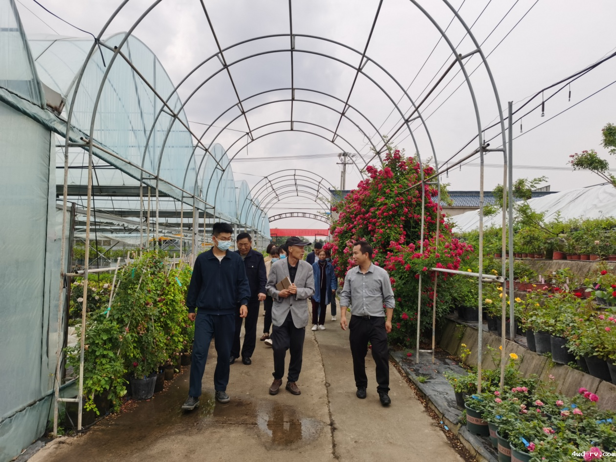 图片9.png 图片9.png