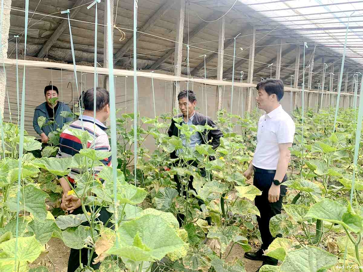 图片3.png 图片3.png