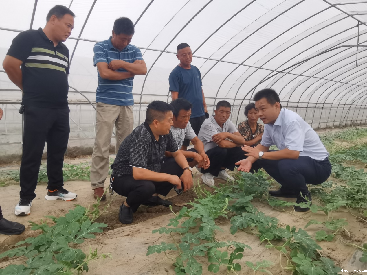 图片2.png 图片2.png