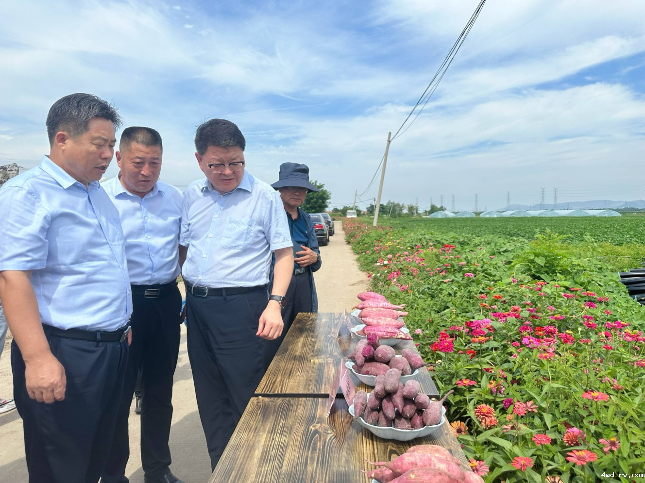 图片5.png 图片5.png