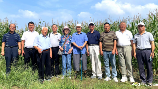 徐州市农业老科技工作者协会实施玉米密植水肥一体化高产攻关取得突破1116.png 徐州市农业老科技工作者协会实施玉米密植水肥一体化高产攻关取得突破1116.png