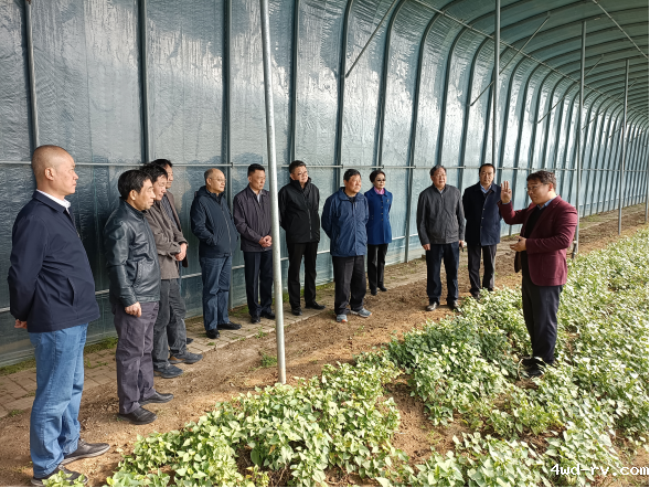 徐州市科协《市科技专家团系列调研建议三则》获市政府主要领导签批174.png 徐州市科协《市科技专家团系列调研建议三则》获市政府主要领导签批174.png