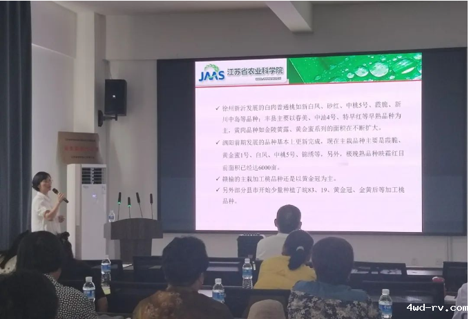 图片11.png 图片11.png