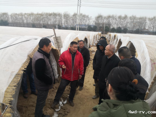 徐州市农科专家走进丰县开展技术服务346.png 徐州市农科专家走进丰县开展技术服务346.png