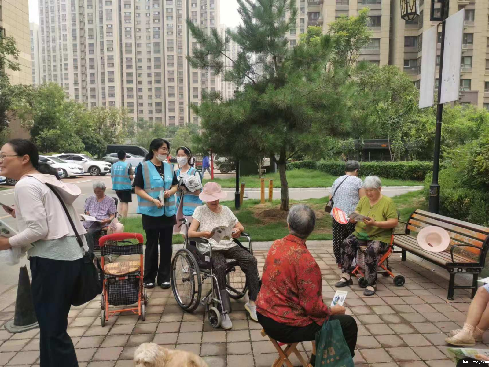 图片1.png 图片1.png