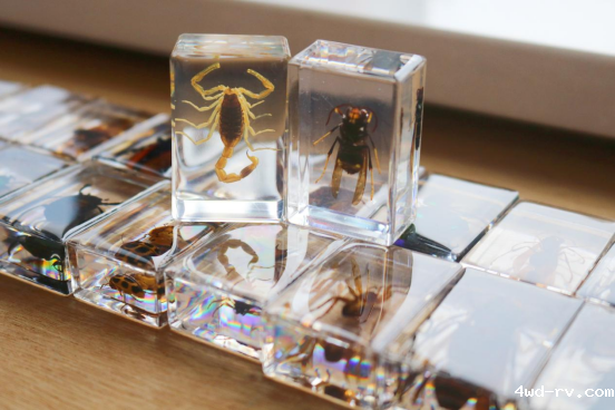 趣味“虫”生,云龙区图书馆开展昆虫科普活动(作者:马煜森)203.png 趣味“虫”生,云龙区图书馆开展昆虫科普活动(作者:马煜森)203.png