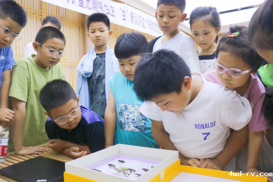 趣味“虫”生,云龙区图书馆开展昆虫科普活动(作者:马煜森)334.png 趣味“虫”生,云龙区图书馆开展昆虫科普活动(作者:马煜森)334.png