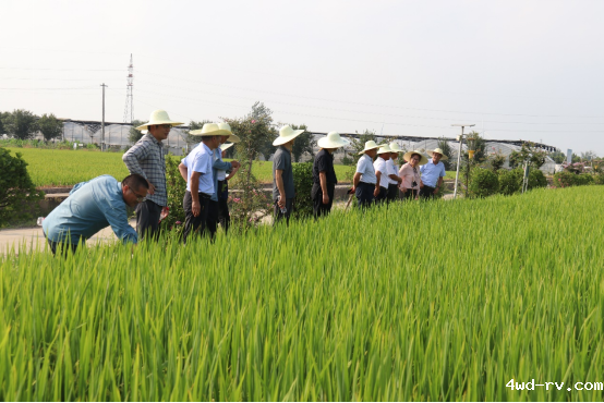 2024“科创中国”农业科技服务中国作物学会专家徐州行成功举办(农学会)795.png 2024“科创中国”农业科技服务中国作物学会专家徐州行成功举办(农学会)795.png