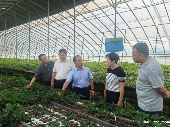 2024“科创中国”农业科技服务中国作物学会专家徐州行成功举办(农学会)797.png 2024“科创中国”农业科技服务中国作物学会专家徐州行成功举办(农学会)797.png