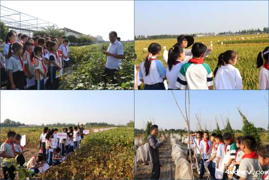 徐州市农学会举办青少年科普活动(2)459.png 徐州市农学会举办青少年科普活动(2)459.png