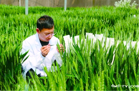 4.睢宁县优秀科技工作者李子豪53.png 4.睢宁县优秀科技工作者李子豪53.png