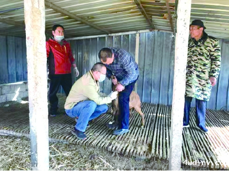 5.睢宁县优秀科技工作者王建辉46.png 5.睢宁县优秀科技工作者王建辉46.png