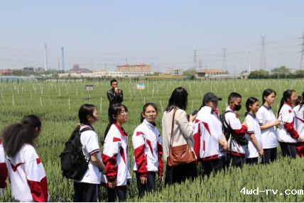 探索科技奥秘 点亮科学梦想--徐州市农学会组织开展青少年科普活动810.png 探索科技奥秘 点亮科学梦想--徐州市农学会组织开展青少年科普活动810.png