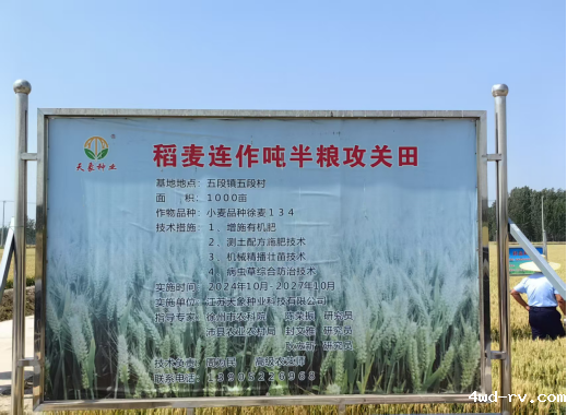 徐州吨半粮攻关小麦示范产量取得突破316.png 徐州吨半粮攻关小麦示范产量取得突破316.png