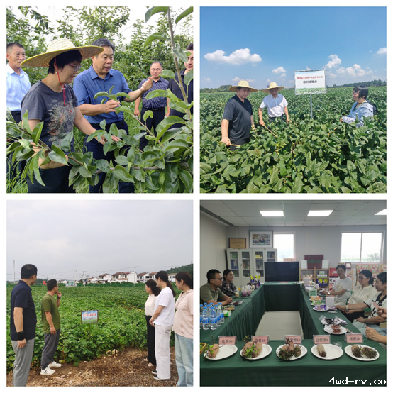 2025“科创中国”农业科技服务中国作物学会专家徐州行活动报道(20250830)1100.png 2025“科创中国”农业科技服务中国作物学会专家徐州行活动报道(20250830)1100.png