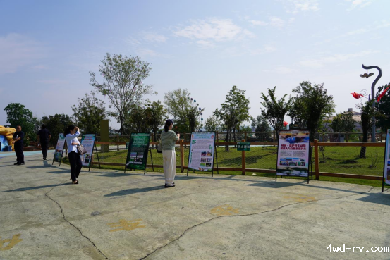 聚焦野生动物保护,共赴生物多样性科普之约——2025 年“全国科普月”徐州活动圆满举办305.png 聚焦野生动物保护,共赴生物多样性科普之约——2025 年“全国科普月”徐州活动圆满举办305.png