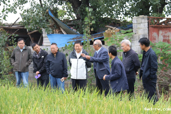 徐州市科协现代农业领域学会联合体组织开展水稻观摩和秋播指导活动(通讯稿)373.png 徐州市科协现代农业领域学会联合体组织开展水稻观摩和秋播指导活动(通讯稿)373.png