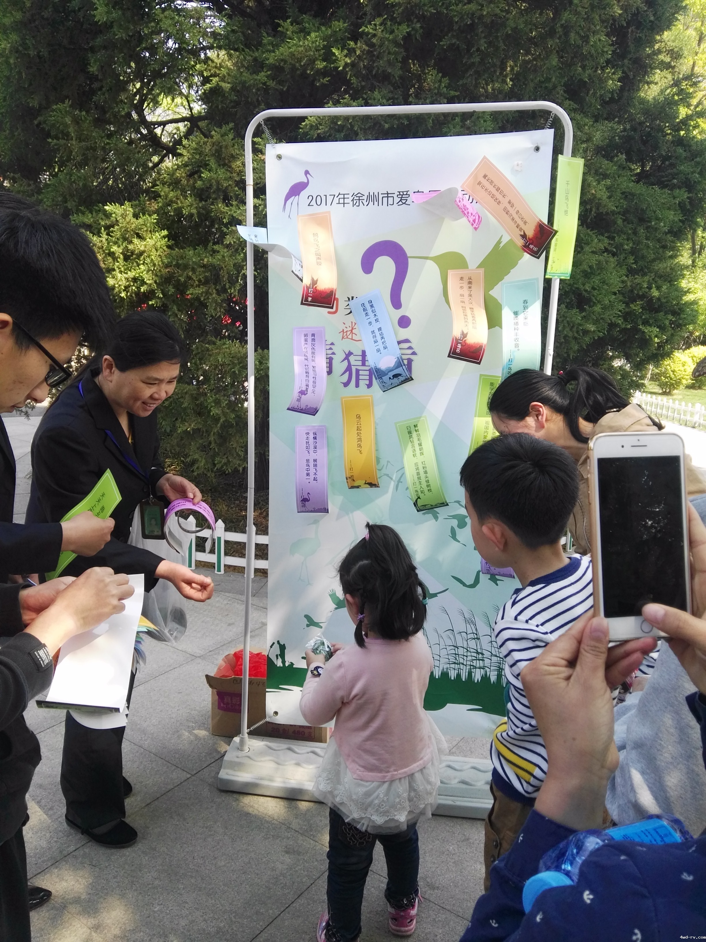 鸟类谜语猜猜看