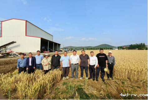 徐州吨半粮攻关小麦示范产量取得突破559.png